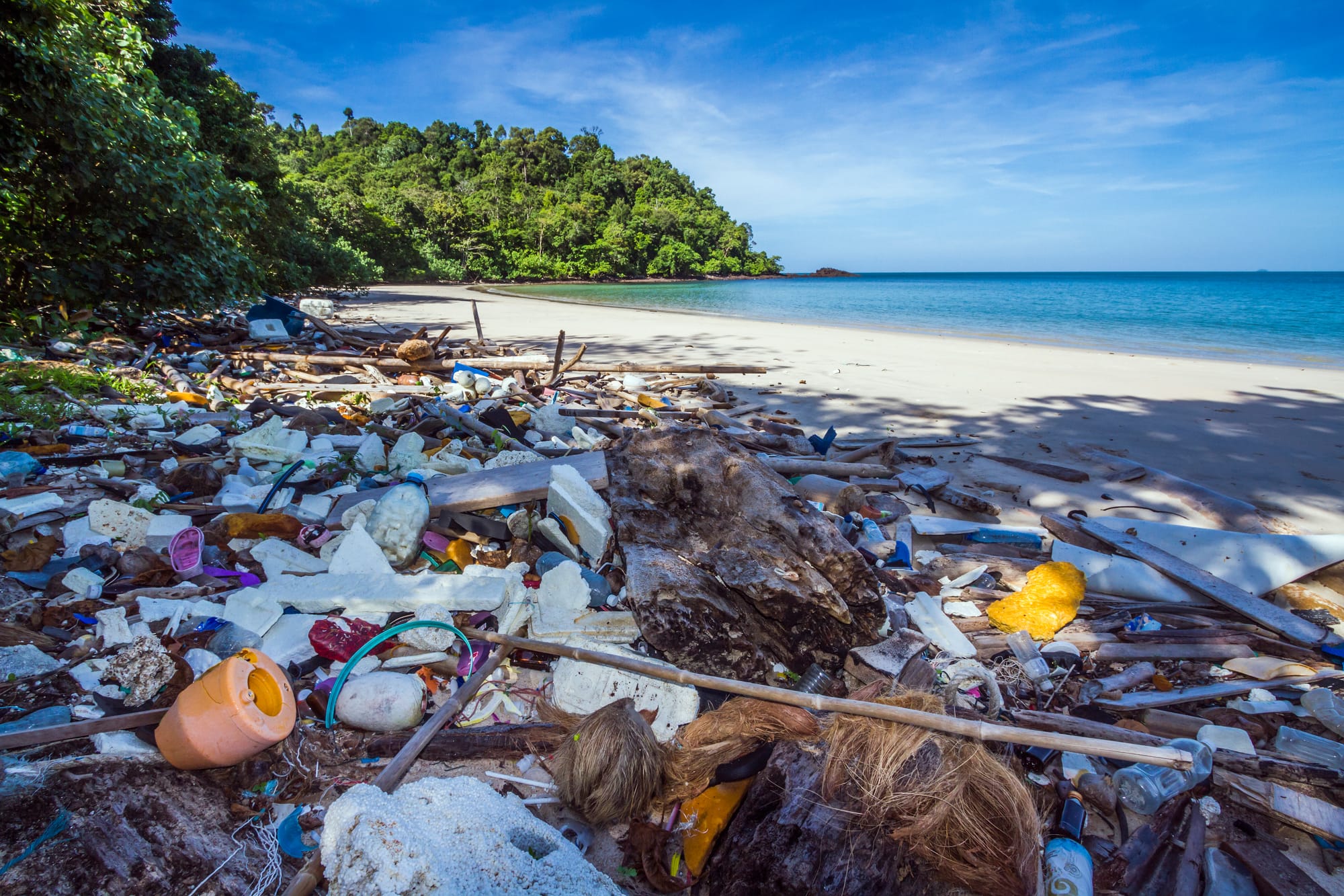 Plastic: From the “Dream Material” to the Next Transition