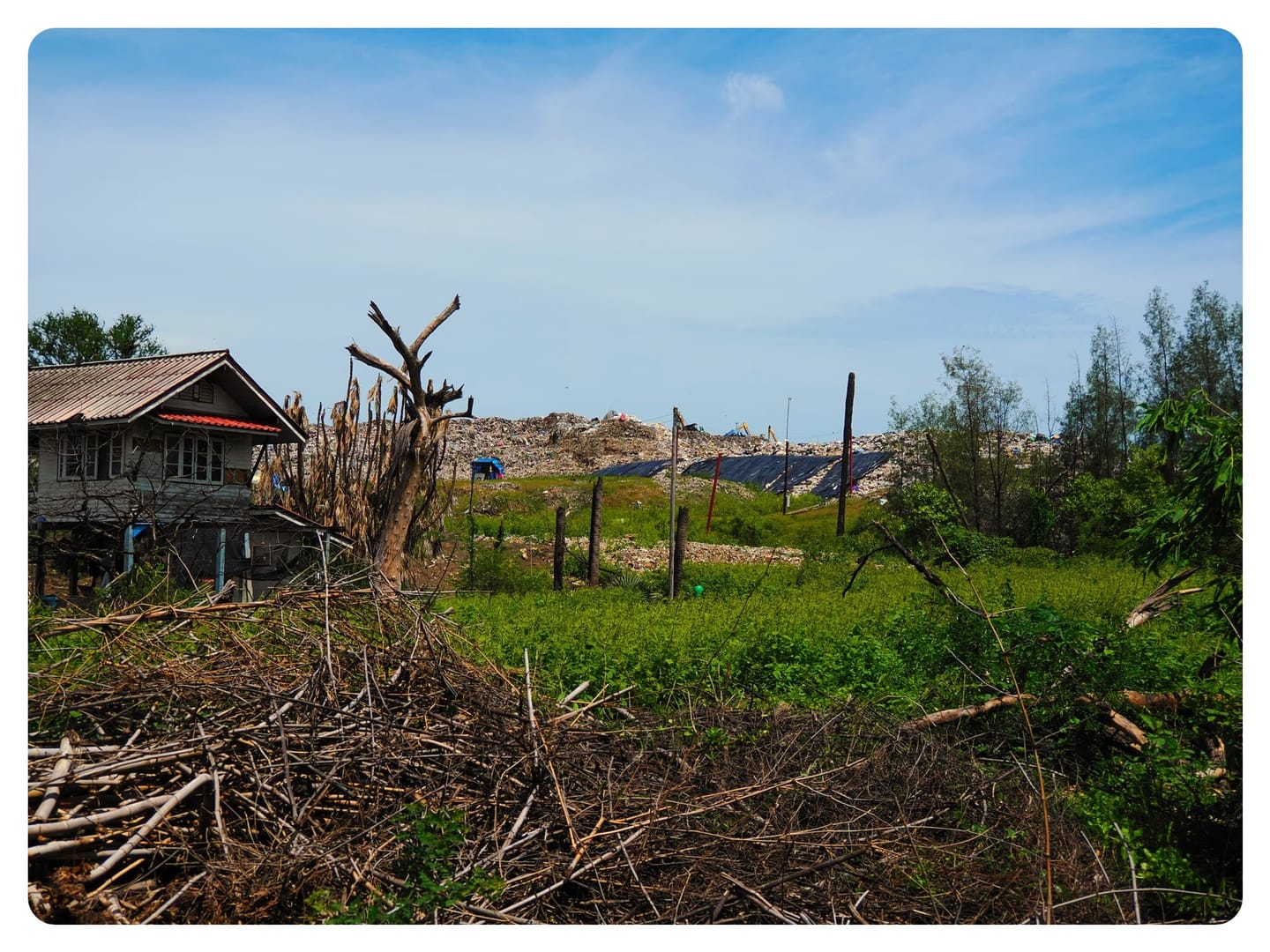 Issue＃7: The Environmental Costs of Mass Consumption — Seen Through the Numbers