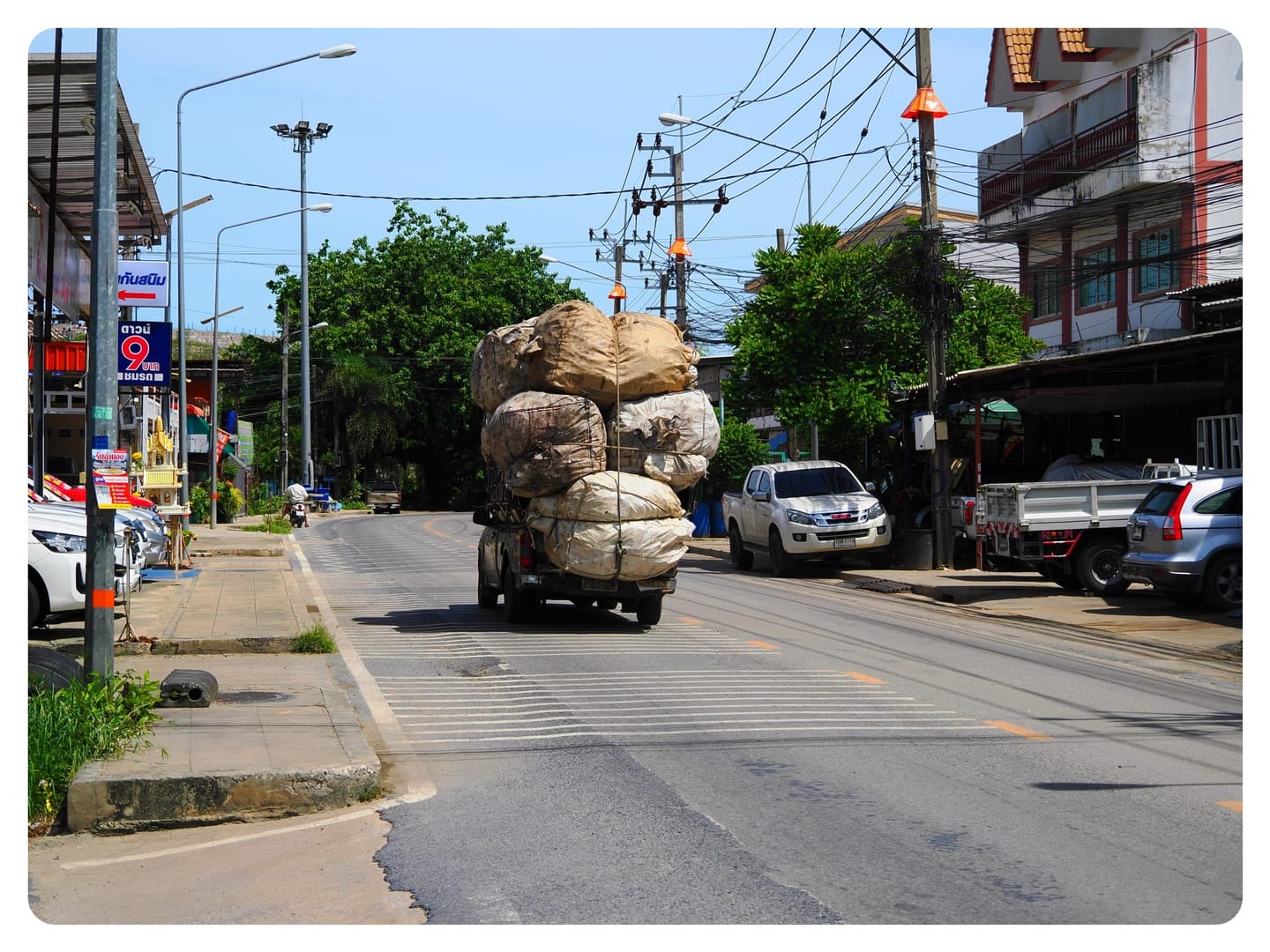 Issue＃3: The Five Deep Costs of a Mass Consumption and Waste Society