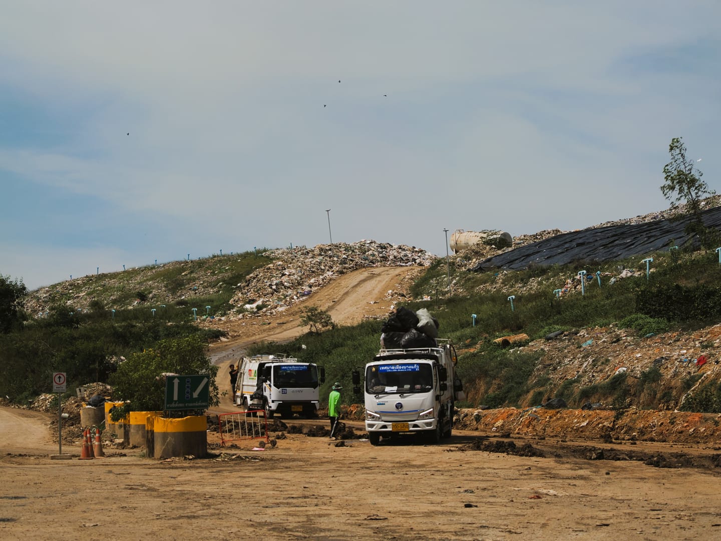 The Five Deep Costs of a Mass Consumption and Waste Society