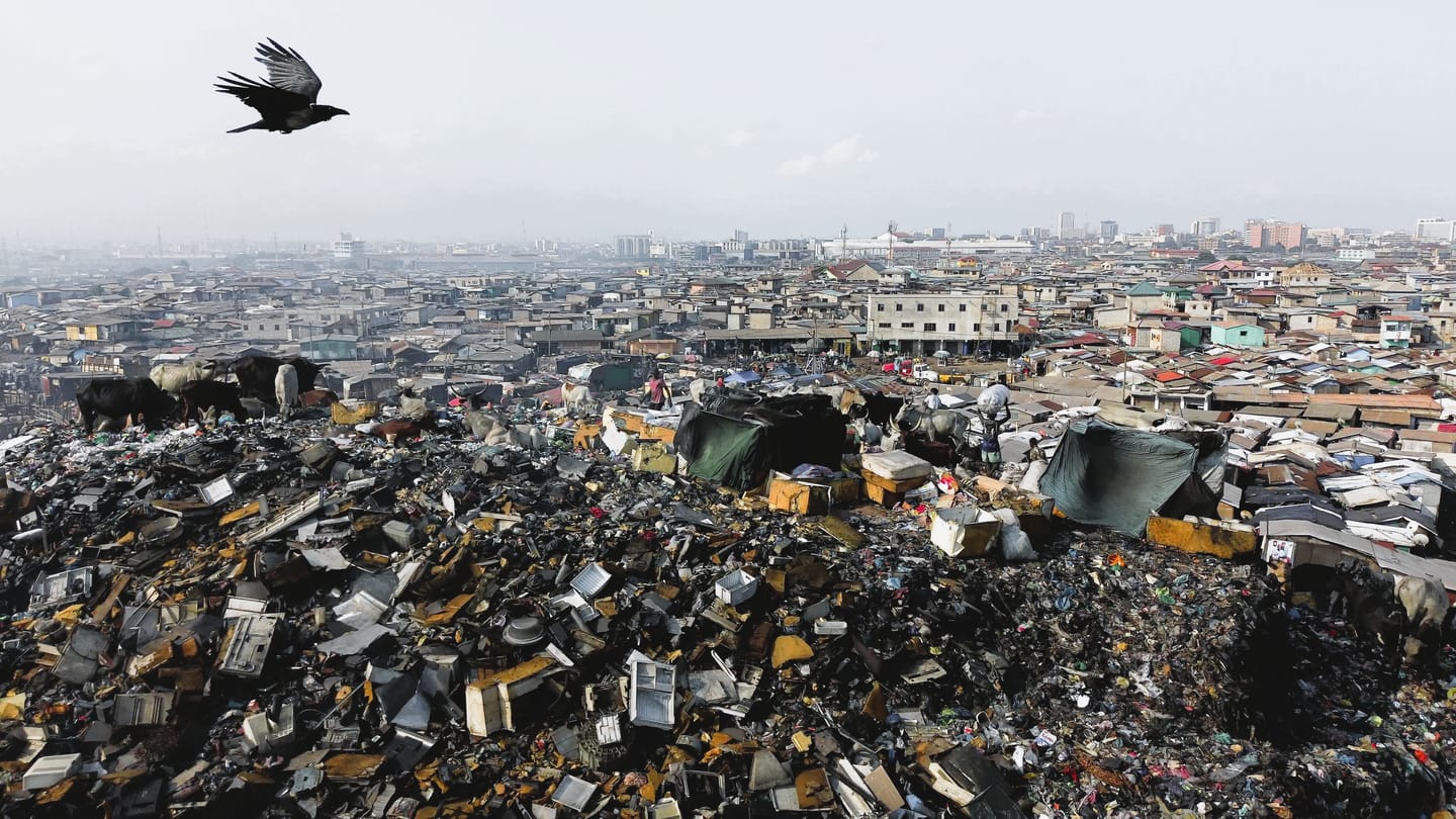 The Invisible Pain That Begins After We Throw Things Away