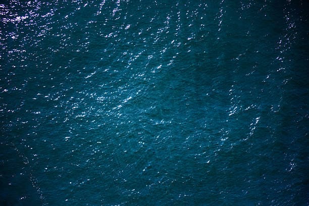 Issue#5: “Realizing Earth’s Limits at Sea — Why a Solo Yacht Racer Became a Champion of the Circular Economy”