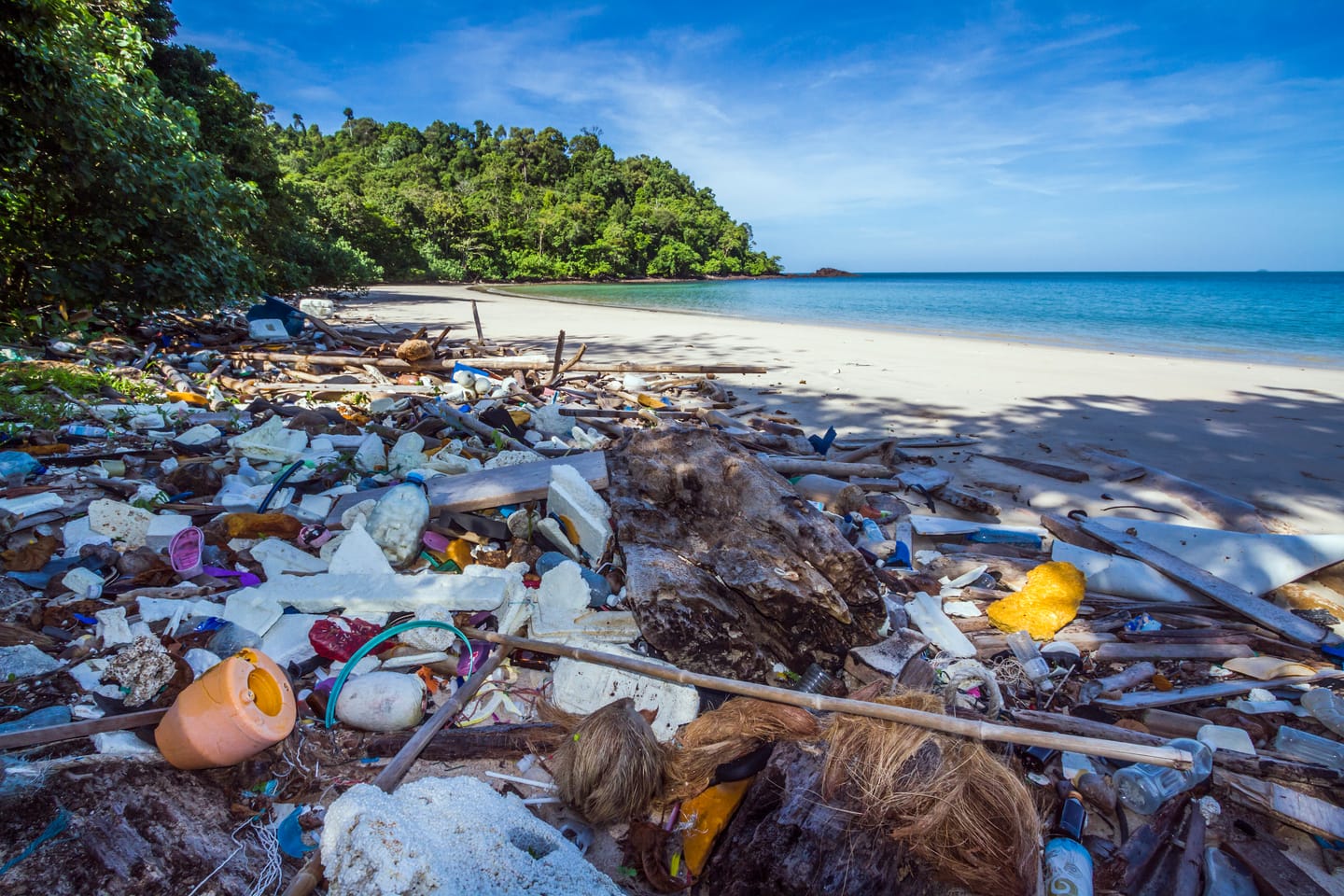 Plastic: From the “Dream Material” to the Next Transition