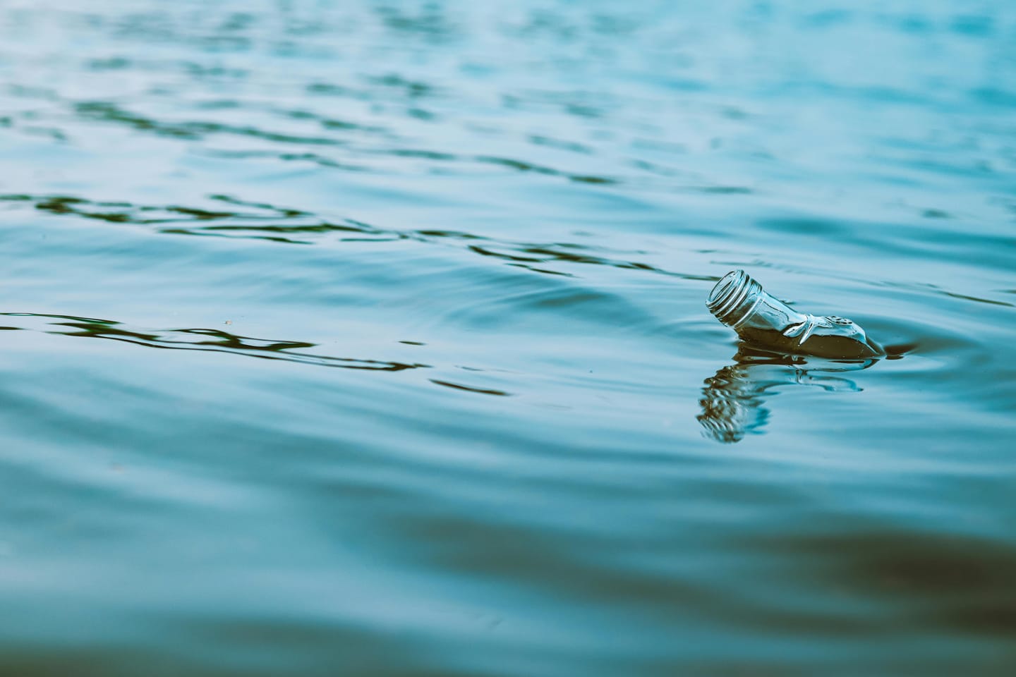 海を覆うプラスチック、見えない損失の正体とは?
